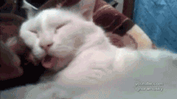 2034338746_jQxy9DEl_EB96A1EC8BA4EC8BA0ED9688EB83A5.gif : 자판기가 안되니