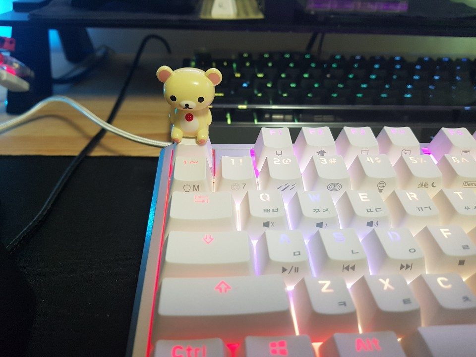 KakaoTalk_20190212_215126282.jpg