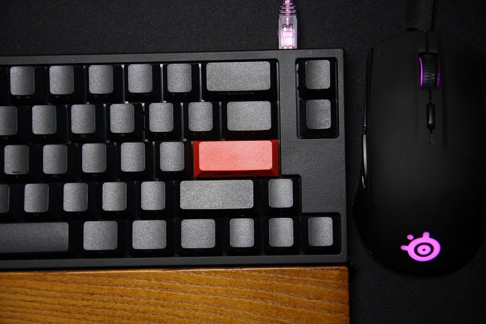 IMG_1547.JPG