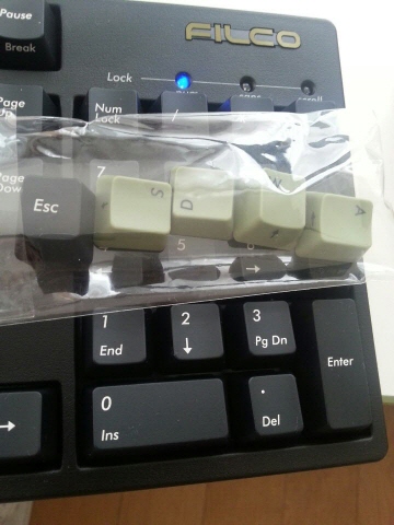 크기변환_camo33.jpg