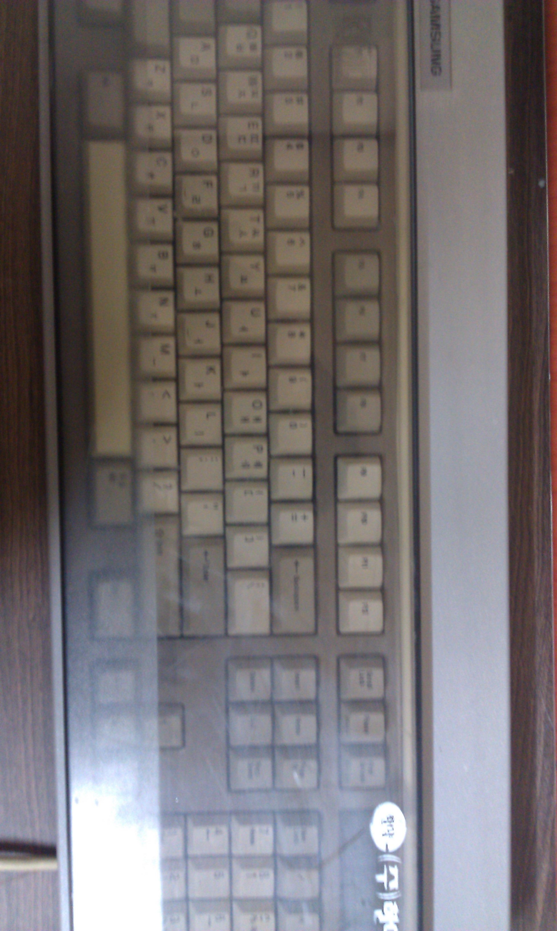 IMAG0087.jpg