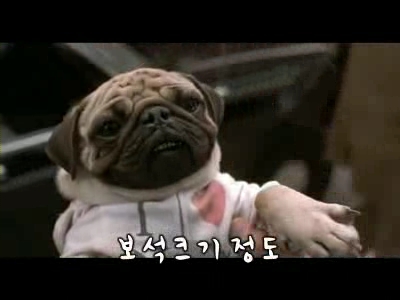 맨인블랙 크기는 중요치않아4.jpg