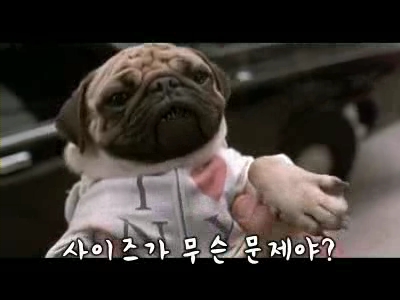 맨인블랙 크기는 중요치않아1.jpg