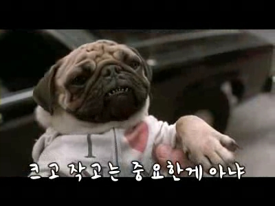 맨인블랙 크기는 중요치않아2.jpg