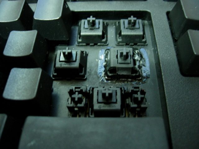 DSCN0168.JPG