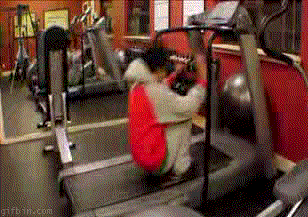 B9FABDE12521.gif