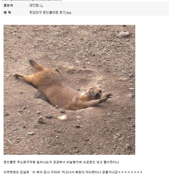 untitled.jpg