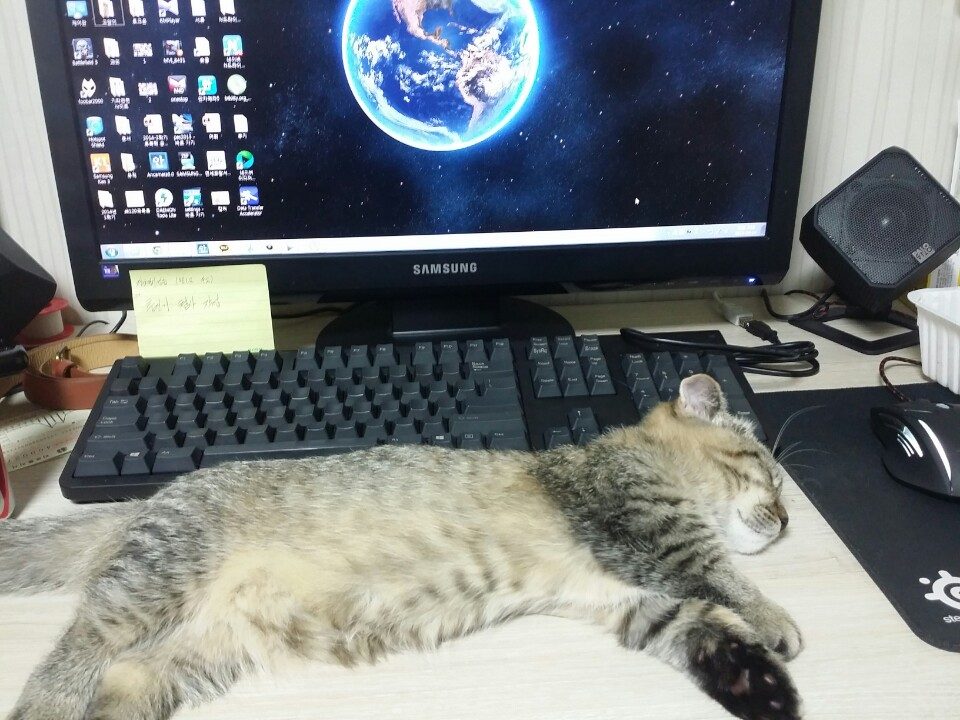 KakaoTalk_20140904_032026937.jpg : 새로운 팜레 하나 마련했어요