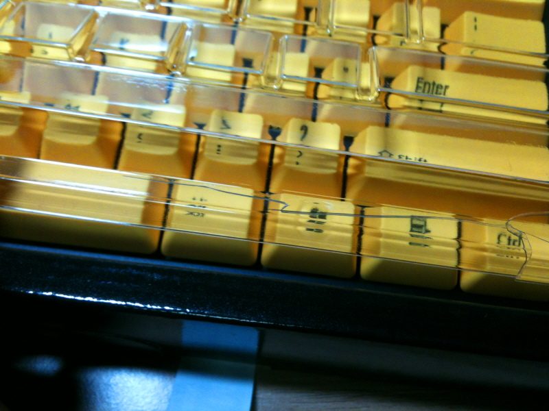 resized_IMG_2064.jpg