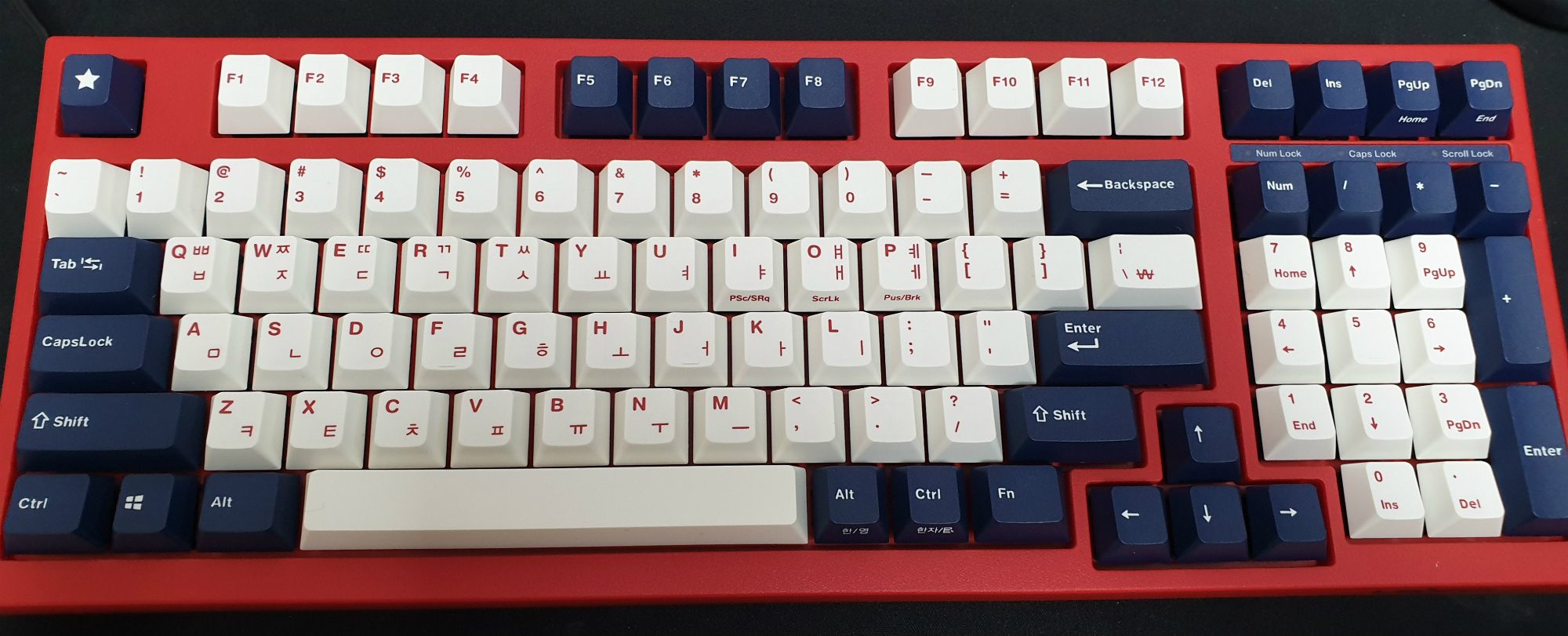 Leopold fc980m pd white blue star1-1.jpg