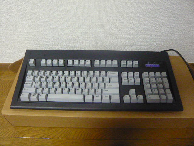P1130446.jpg