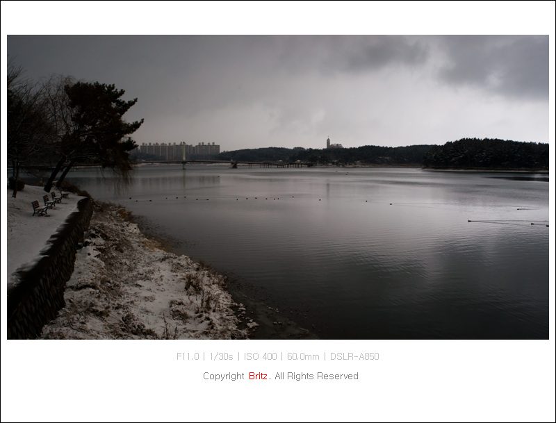 20101226-DSC00713.jpg
