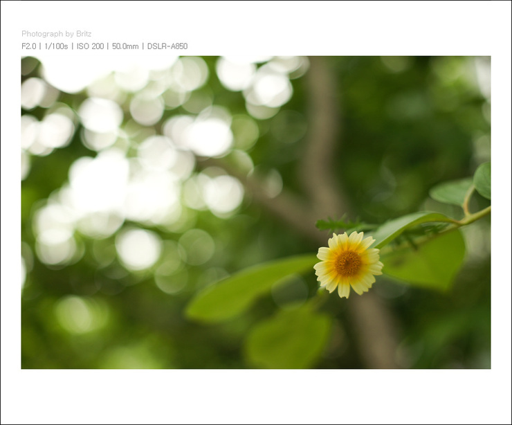 20100625-dsc00085_v9xx9.jpg