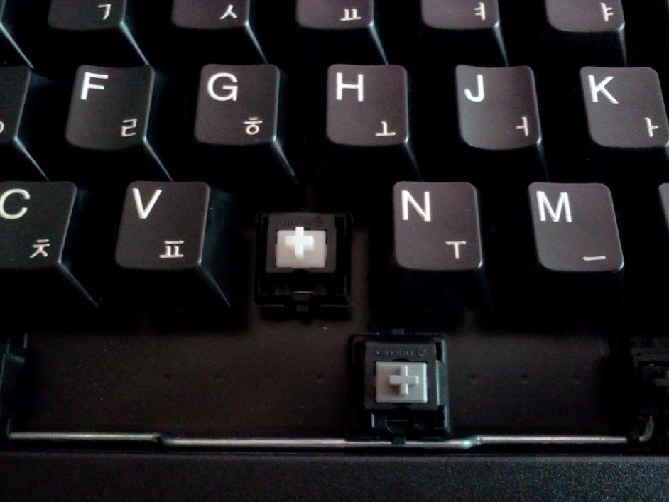 w1.jpg