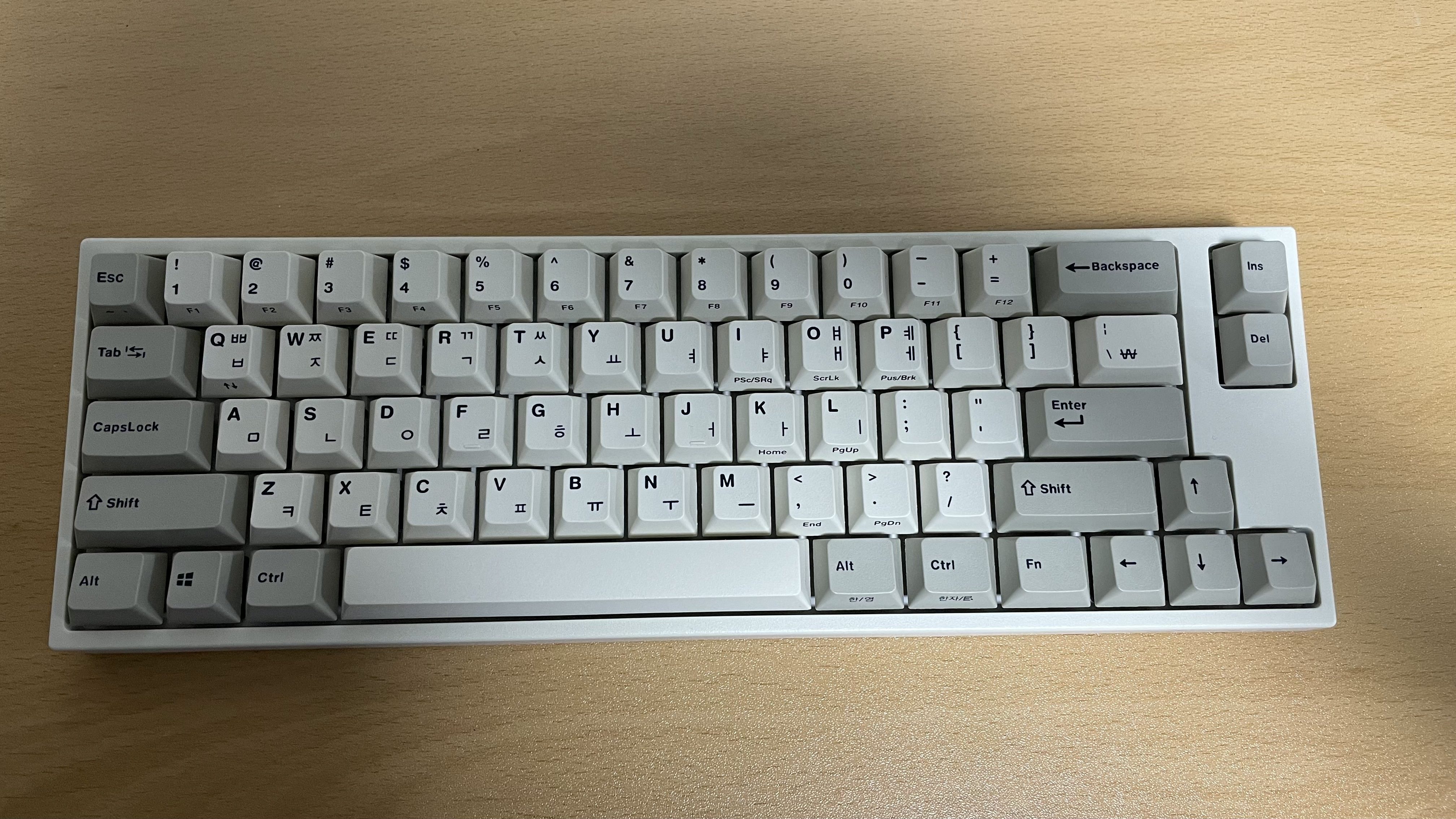 20210605_122813255_iOS.jpg