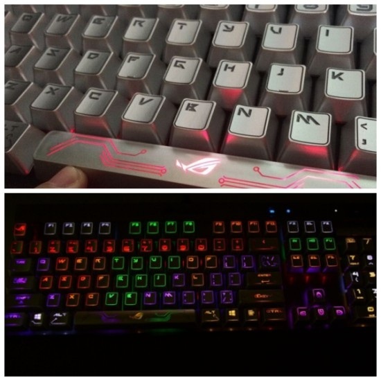 PBT크롭.jpg