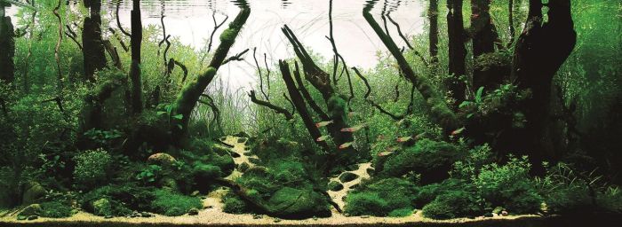 1332764701_4.jpg