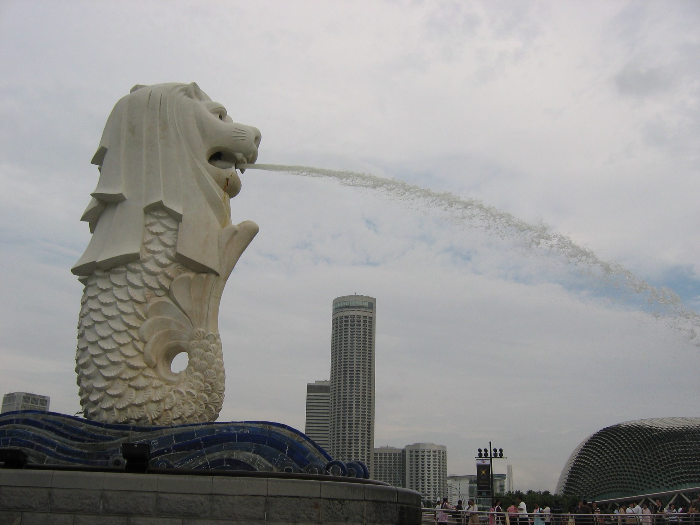 IMG_4965.JPG