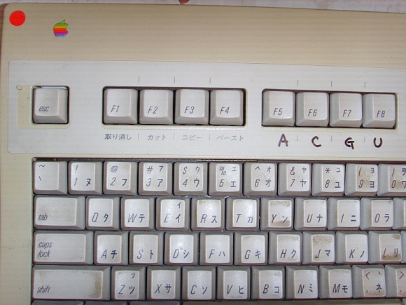 SSL21083.JPG
