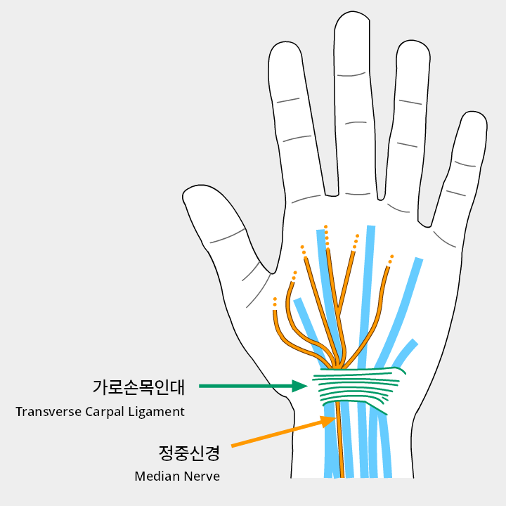 18110ebee02804.png