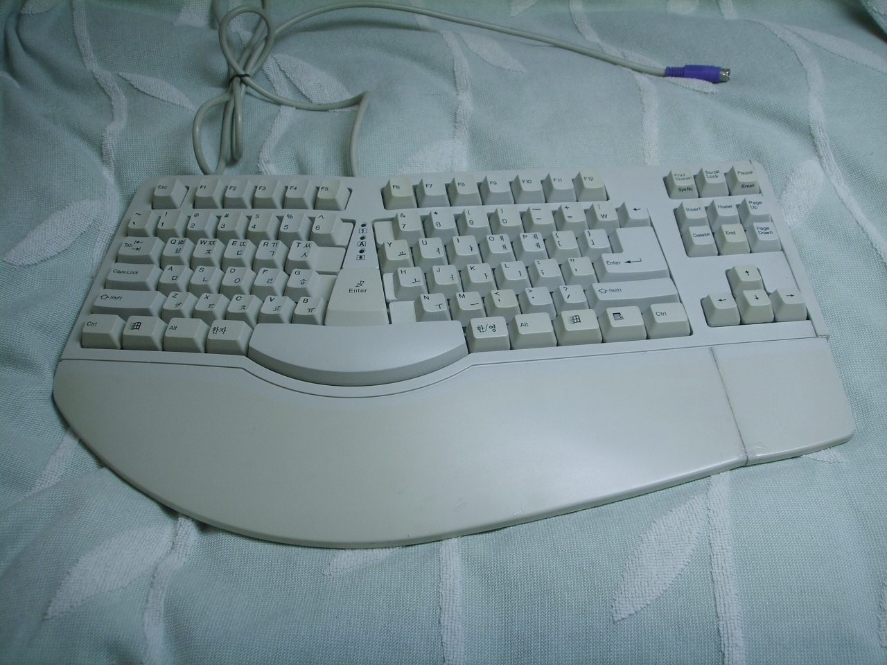 SSM11691.JPG