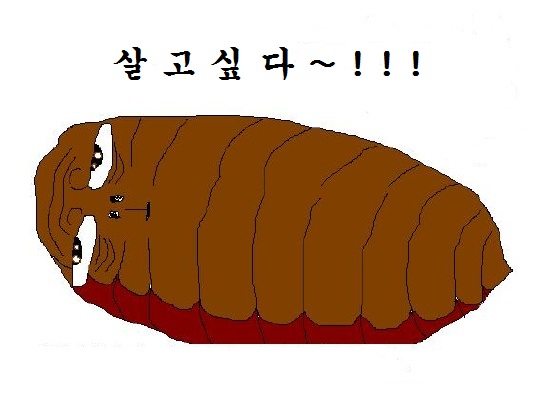 뻔데기.jpg