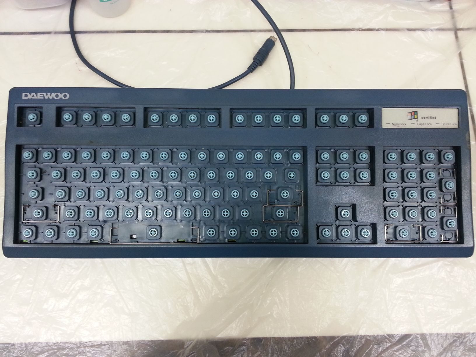 resized_20141127_205235.jpg