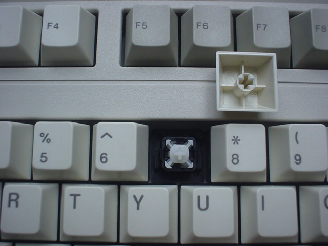 503284695_o.jpg