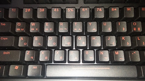 V1.jpg