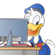 duck profile.jpg