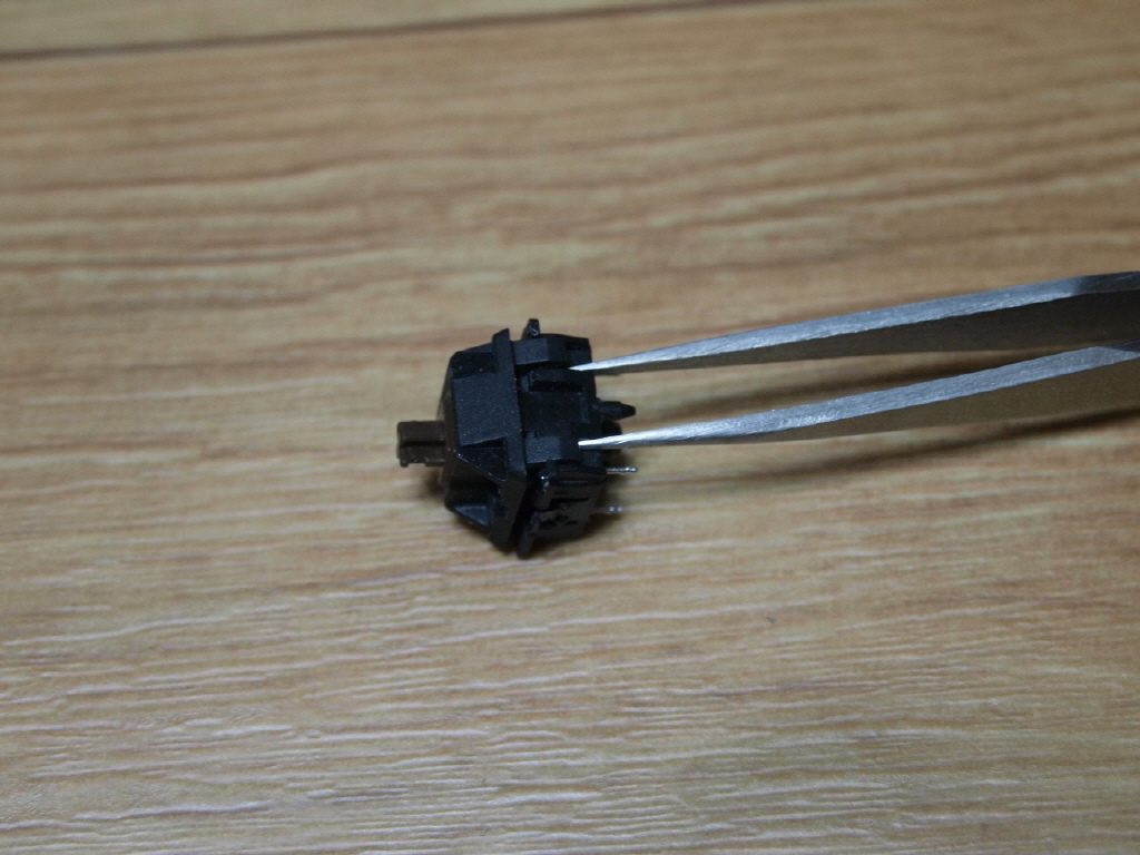 R_R__5241332.JPG