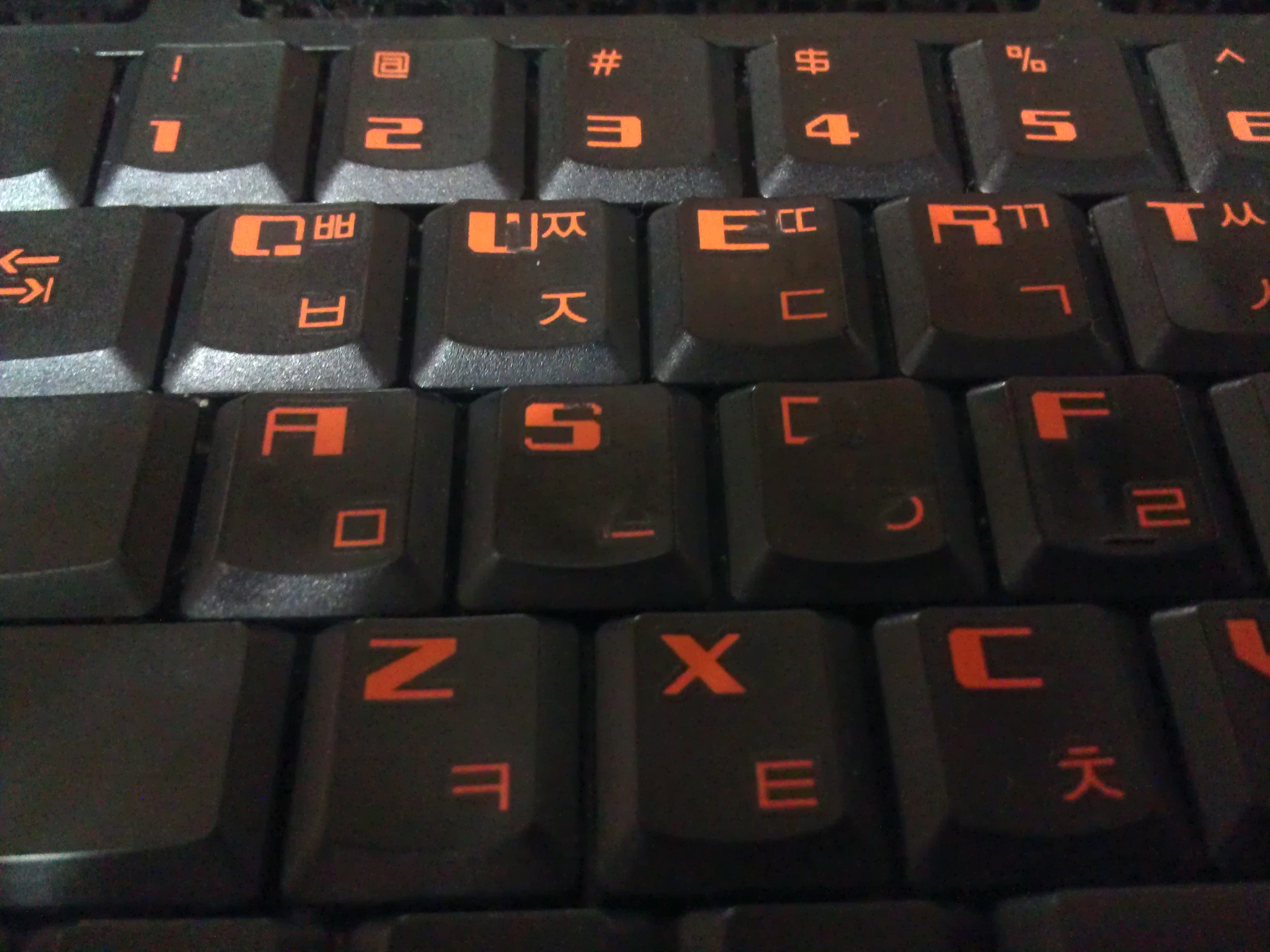 IMAG0443.jpg