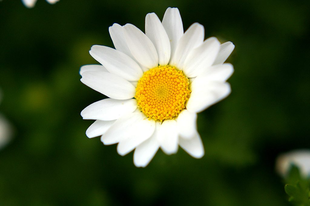 SG1L2491.jpg
