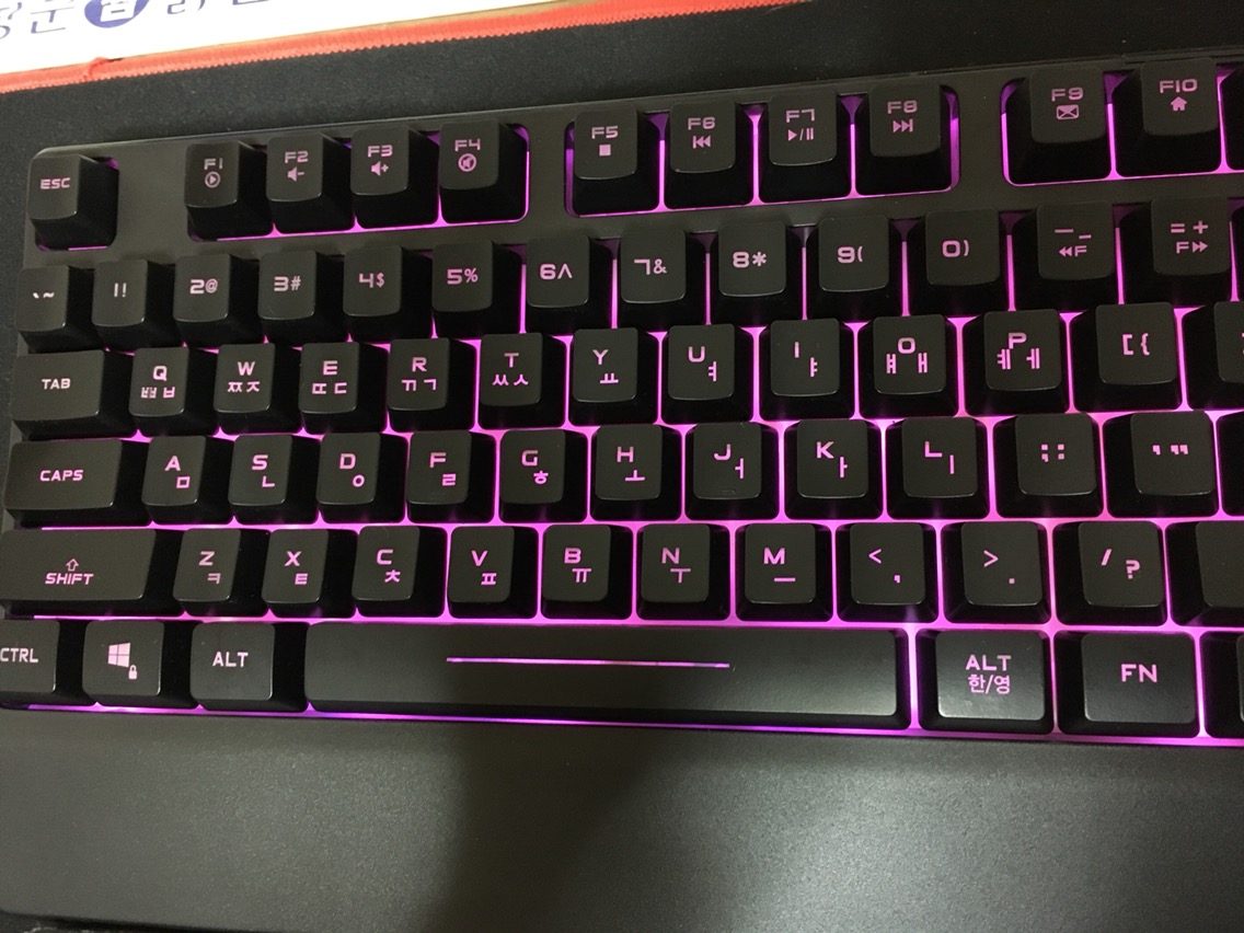 일렉시온3.JPG