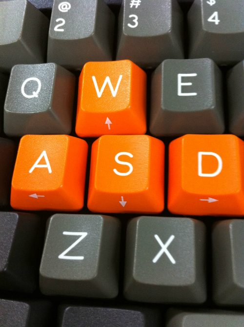 006-w500.JPG