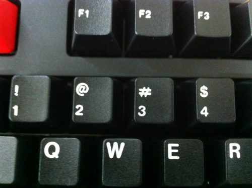 008-w500.JPG