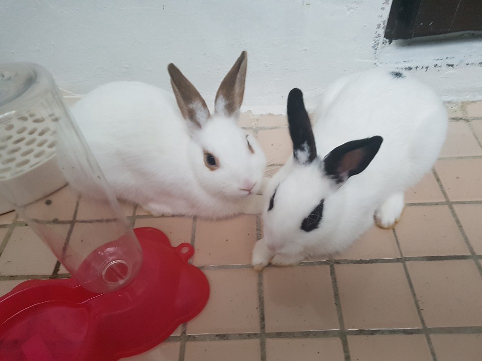 KakaoTalk_20181225_032357780.jpg