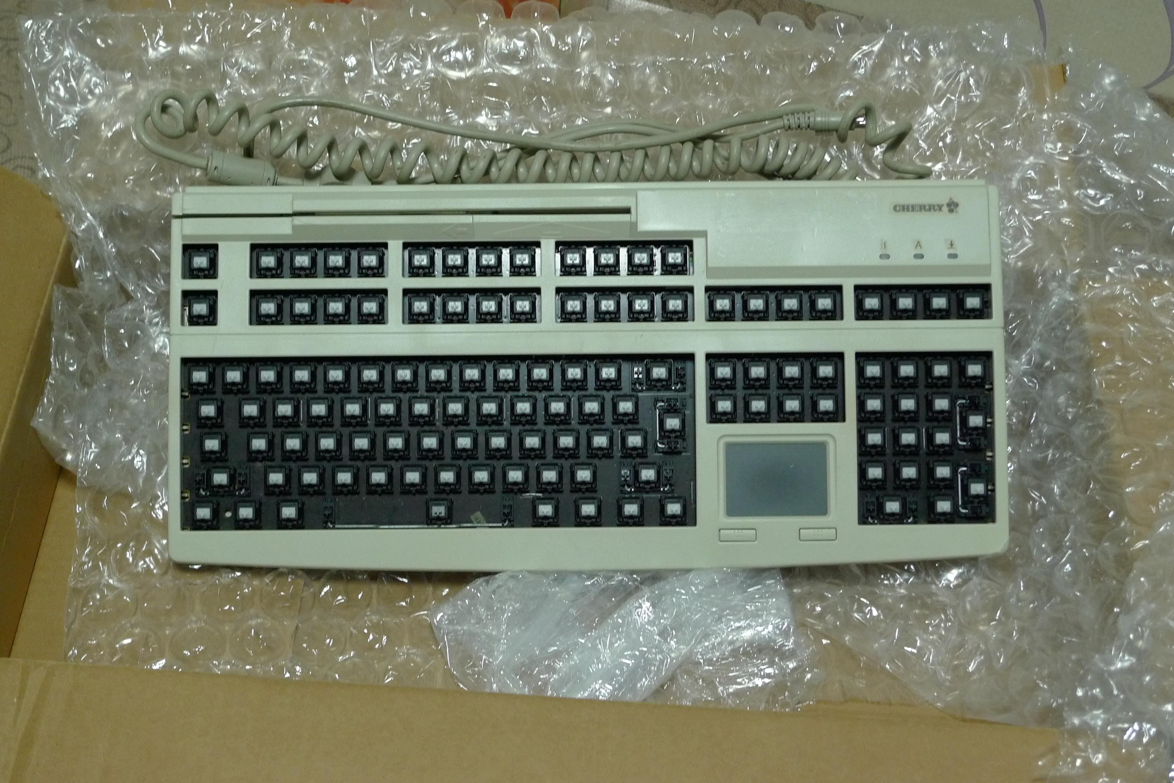 P10103934rthfgjrf.JPG