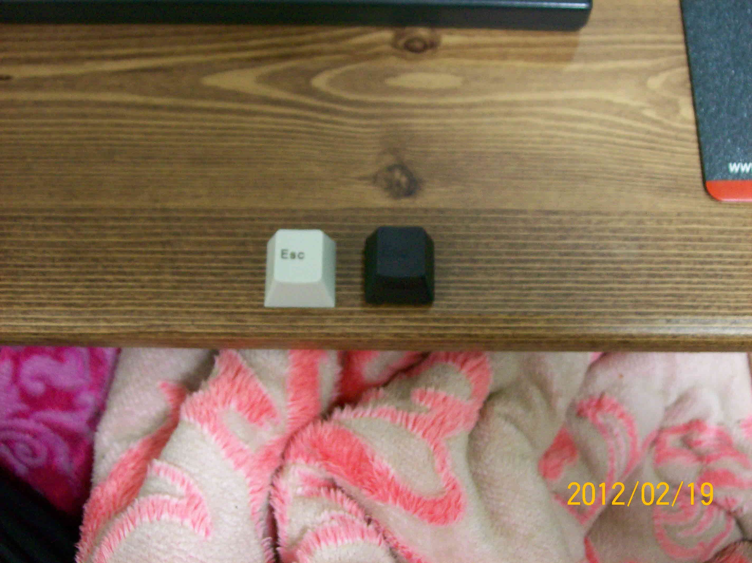 포맷변환_100_0222.jpg : pom, pbt 비교분석 포맷변환_100_0222.jpg : pom, pbt 비교분석