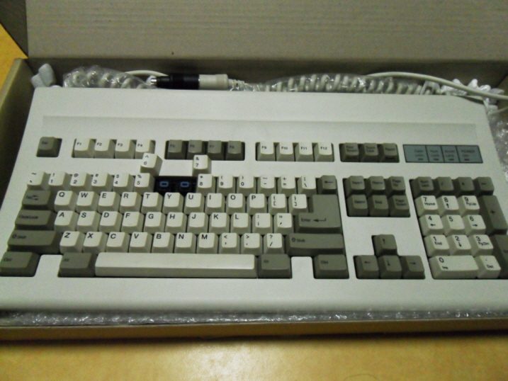 resize_SDC10120.JPG