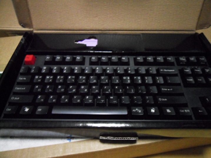 resize_SDC10123.JPG