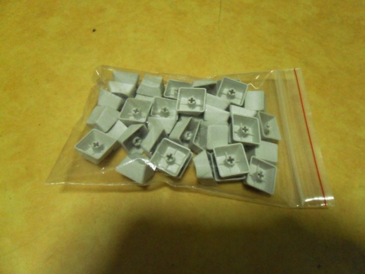 resize_SDC10131.JPG
