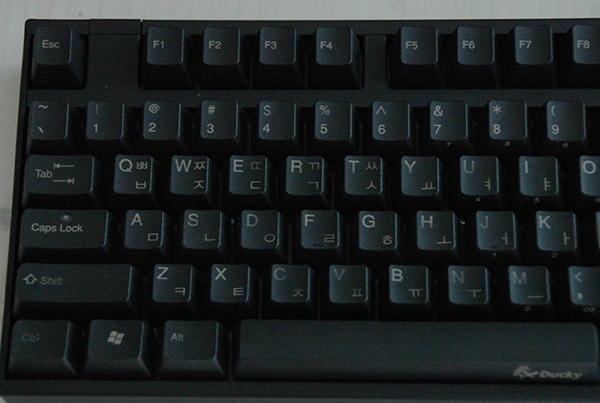 DSC_0322.png