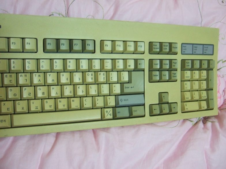 DSCF1121-2-2.jpg : IBM 모델-M, SKM-1080+브릿지스톤 판매합니다