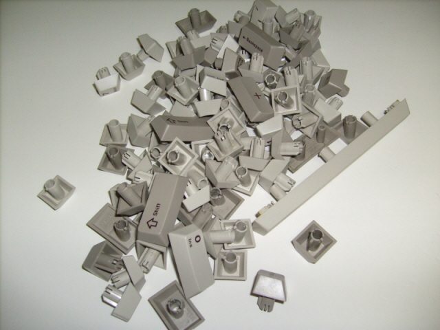 S7303198.JPG