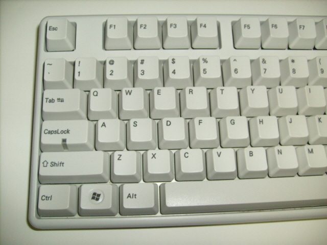S7303184.JPG