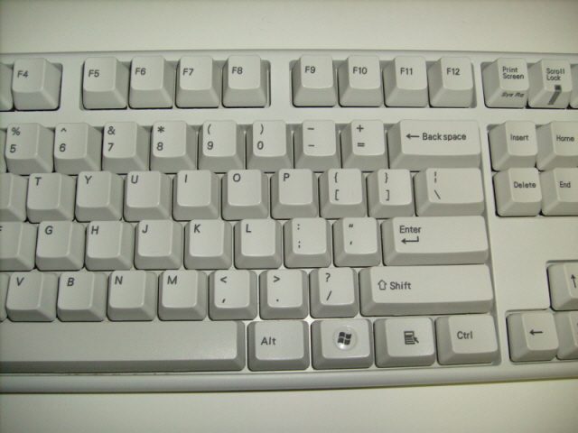S7303185.JPG