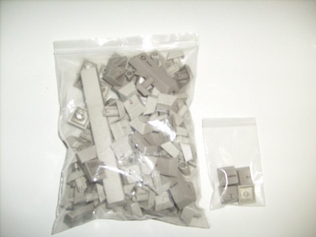 S7303201.JPG