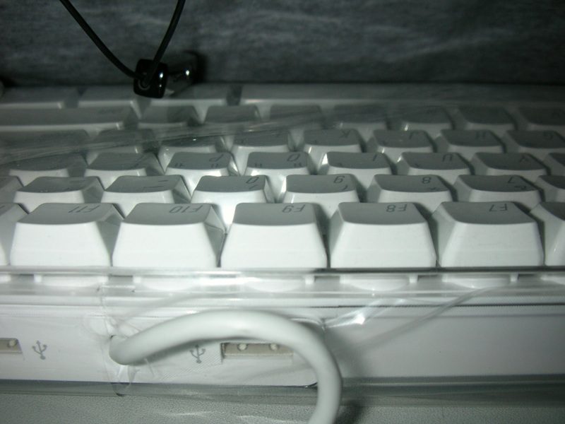 DSCN0601.jpg