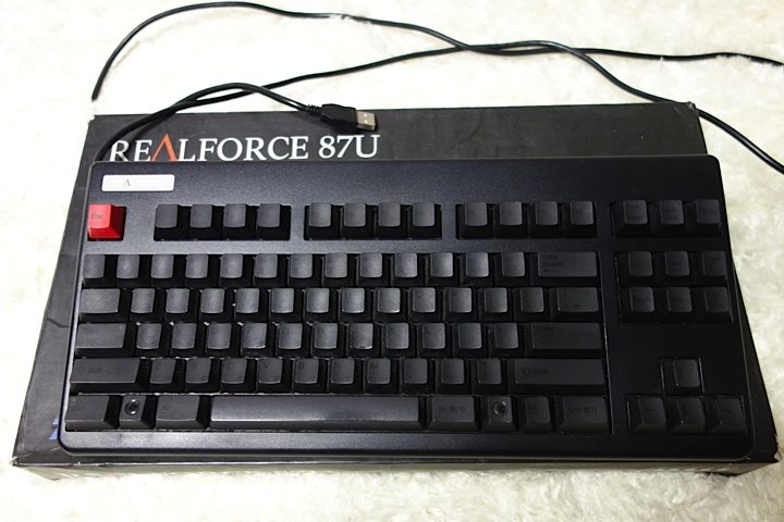 DSC00309_1.jpg